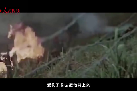 对越自卫反击战一等功证章