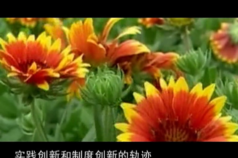 永远的旗帜：中国共产党党章的历程