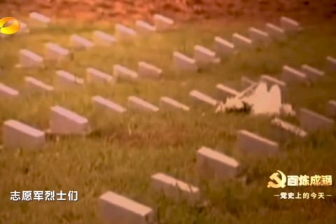 2014年3月28日：志愿军烈士遗骸归国