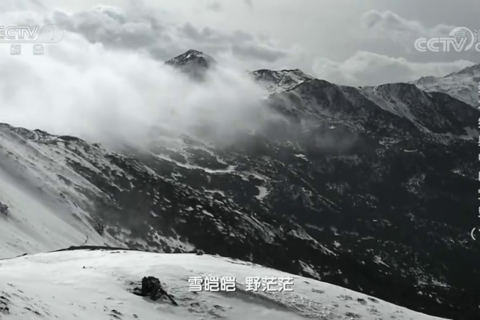 美术经典中的党史