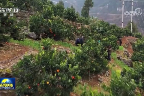 【奋斗百年路 启航新征程·脱贫攻坚答卷】