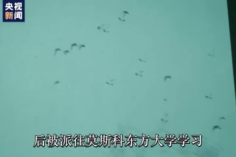 两年51封家书 却中断于团聚前夕