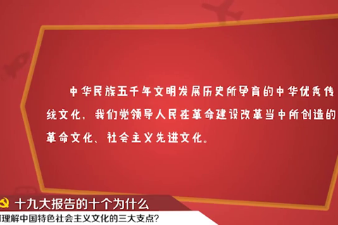 【十九大·理论新视野】为何强调要有“高度的文化自信”？--理论--人民网