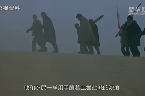 焦桐成雨，此水此山此地