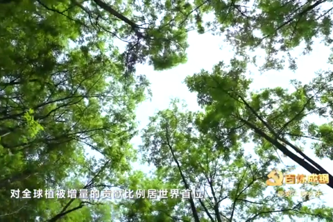 1979年3月12日：新中国第一个全国植树节