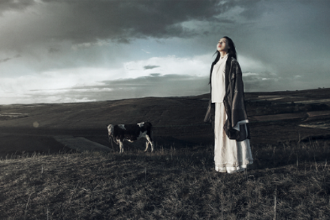 《归去：父亲、儿子和他们的土地》