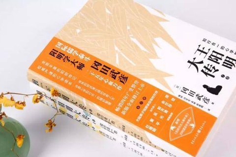《王阳明大传》