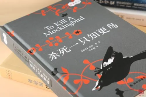 《杀死一只知更鸟》