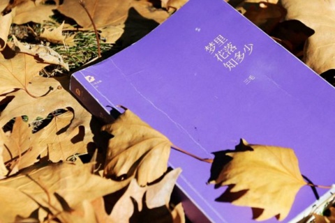 《梦里花落知多少》