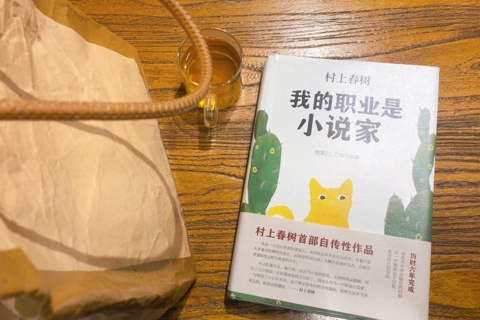 《我的职业是小说家》