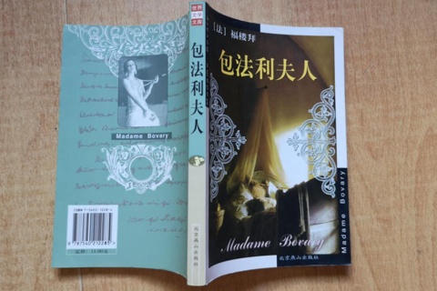  《包法利夫人》
