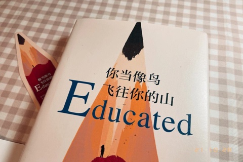 《你当像鸟飞往你的山》