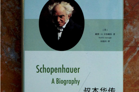 《叔本华传》