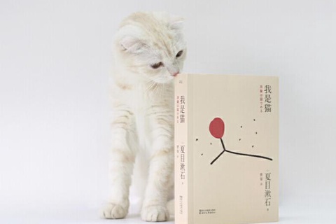 《我是猫》