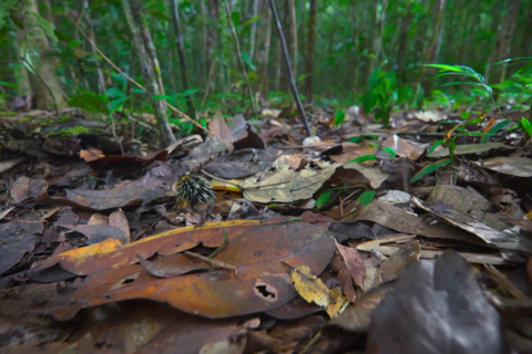 小小世界第二季04