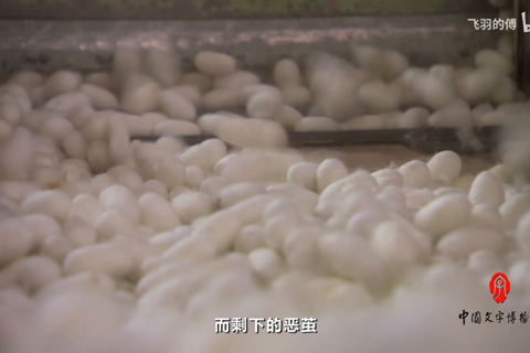 中国文字发展史-第十八集 造纸术