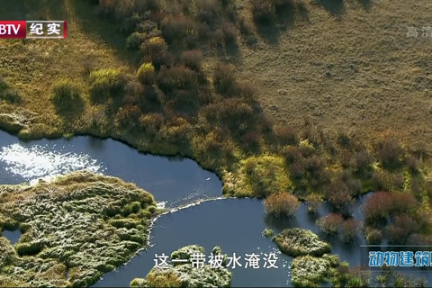 BBC自然世界.动物建筑师 