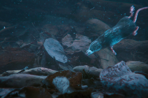 小小世界第二季03