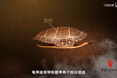 中国文字发展史-第五集 占卜过程