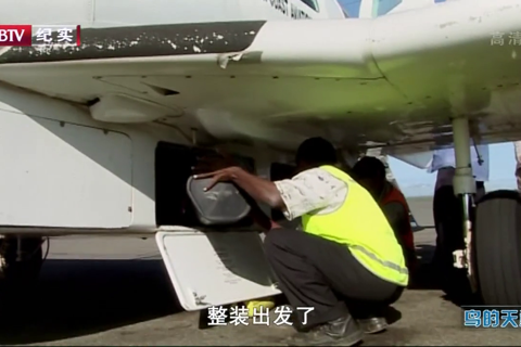 BBC自然世界.鸟的天堂 