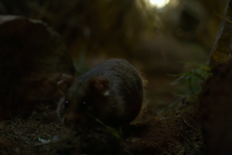 小小世界.第一季06