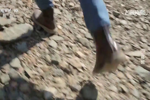 穿越时空—飞向火星（六）移民