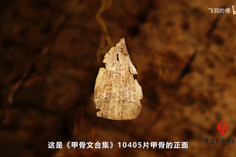 中国文字发展史-第六集 甲骨文内容