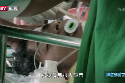 BBC自然世界.印度毒蛇之谜 