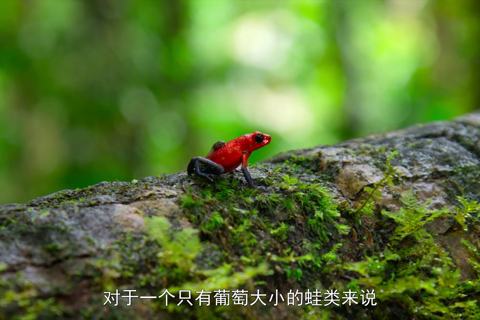 小小世界.第一季02