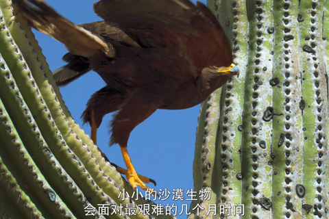 小小世界第二季02