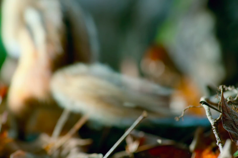 小小世界.第一季05