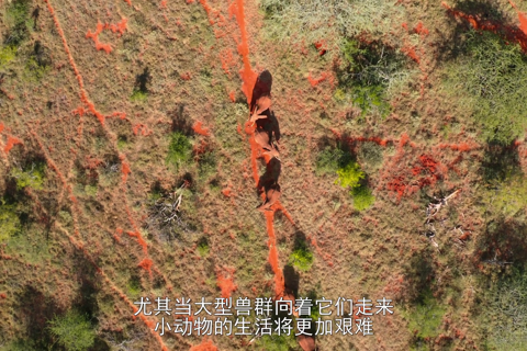 小小世界.第一季01