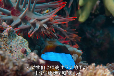 小小世界第二季05