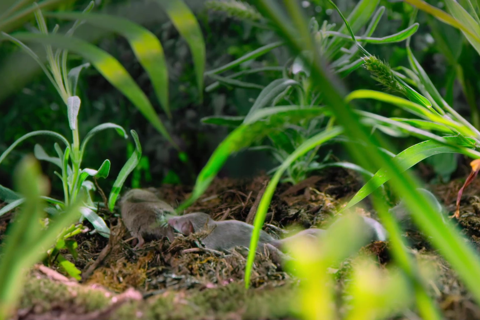 小小世界第二季01