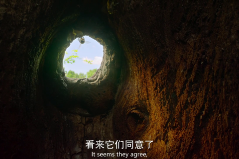 我们的星球第二季02