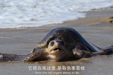 我们的星球第二季03