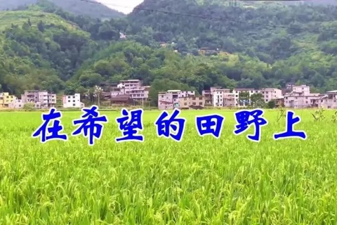 在希望的田野上