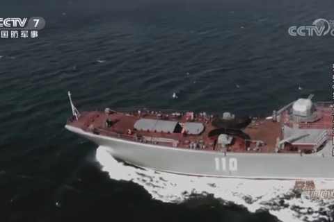 “蟾蜍”级登陆舰与“鳄鱼”级登陆舰有什么区别？