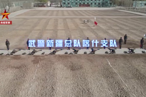 神准！狙击手100米外隔窗击中车内目标