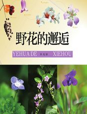 野花的邂逅 - 郭宪
