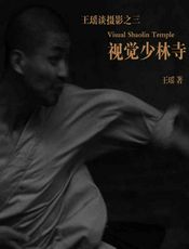 视觉少林寺 - 王瑶
