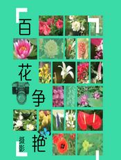 百花争艳摄影 - 甘耀进