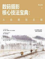 数码摄影核心技法宝典：从前期到后期 - 郑志强