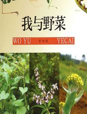 我与野菜 - 曾珍