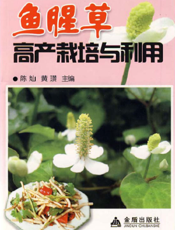 鱼腥草高产栽培与利用