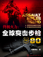 终极火力：全球突击步枪80