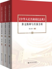 民法典条文精释与实案全析