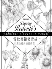雷杜德铅笔素描——黑白花卉插画教程 - 周思园