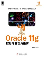 Oracle 11g数据库管理员指南-刘宪军