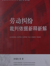 劳动纠纷裁判依据新释新解 - 孙瑞玺
